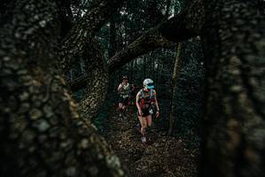 BIB: 
                            <button type="button" onclick="openModal(25688040)" class="btn btn-primary btn-sm float-right btn-popup" data-toggle="modal" data-target=".modal-high-quality">
                        <i class="fas fa-shopping-cart"></i> Add to Cart
                    </button>
                                            <button type="button" onclick="isThisMe(25688040, true)" class="btn btn-success btn-sm float-right btn-popup btn-isme hidden" data-toggle="tooltip" data-placement="bottom" title="นี่คือรูปของคุณใช่ไหม คลิกที่นี่เพื่อเอาเข้าอัลบั้ม">
                        <i class="fas fa-plus"></i> Add to album
                    </button>
                    <button type="button" onclick="isThisMe(25688040, false)" class="btn btn-warning btn-sm float-right btn-popup btn-isnotme hidden">
                        <i class="fas fa-ban"></i> Remove from album
                    </button>